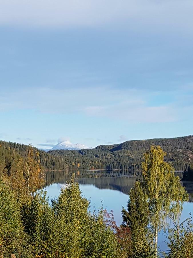 Libehi Villa Lona Eksteriør billede